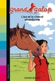  Achetez le livre d'occasion Lisa et le cheval abandonné de Bonnie Bryant sur Livrenpoche.com 