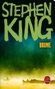  Achetez le livre d'occasion Brume : Nouvelles de Stephen King sur Livrenpoche.com 