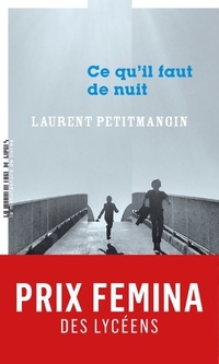  Achetez le livre d'occasion Ce qu'il faut de nuit de Petitmangin Laurent sur Livrenpoche.com 