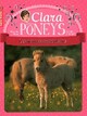  Achetez le livre d'occasion Clara et les poneys Tome II : Les nouveaux poulains de Bruno Pilorget sur Livrenpoche.com 