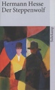  Achetez le livre d'occasion Der steppenwolf de Hermann Hesse sur Livrenpoche.com 