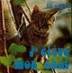  Achetez le livre d'occasion J'élève mon chat de Françoise Provence sur Livrenpoche.com 