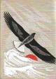  Achetez le livre d'occasion L'aigle de mer de Edouard Peisson sur Livrenpoche.com 