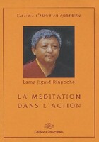  Achetez le livre d'occasion La méditation dans l'action sur Livrenpoche.com 