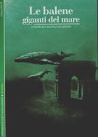  Achetez le livre d'occasion Le balene. Giganti del mare sur Livrenpoche.com 