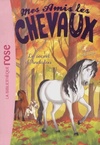  Achetez le livre d'occasion Mes amis les chevaux Tome XIX : Le secret d'Andalou sur Livrenpoche.com 