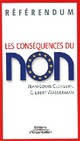  Achetez le livre d'occasion Référendum : Les conséquences du non de Gilbert Wasserman sur Livrenpoche.com 