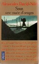  Achetez le livre d'occasion Sous des nuées d'orages de Alexandra David-Néel sur Livrenpoche.com 