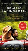  Achetez le livre d'occasion The art of racing in the rain sur Livrenpoche.com 